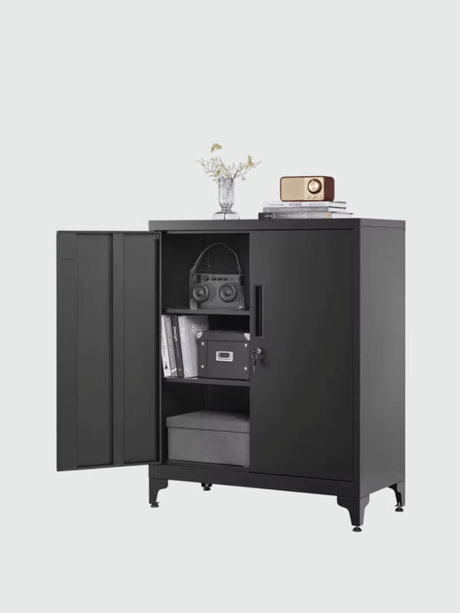Office Home study room Lateral File cabinet, Multipurpose Garage storage with 2 Doors, Lockable, Steel Storage Cabinets, Shelves Furniture In black