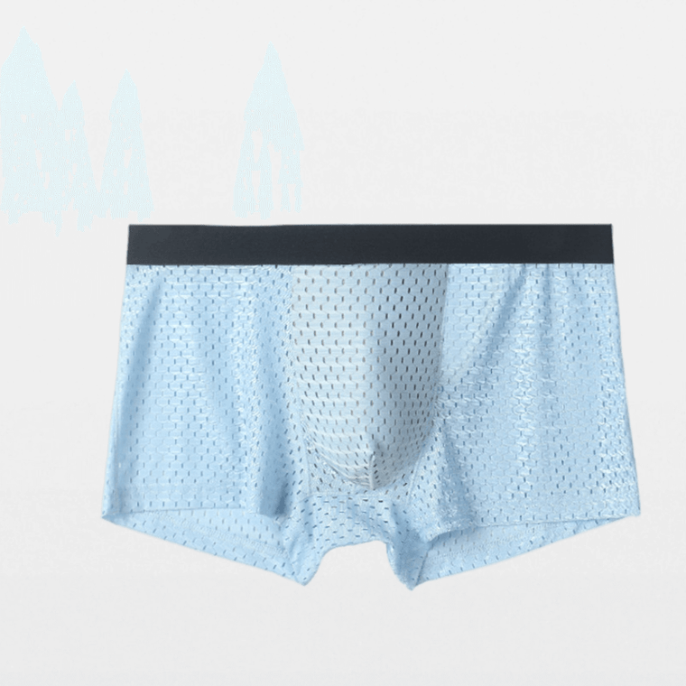 Breathable Mesh Boxer Briefs   Men’s Sexy Underpants Ice Silk Underwear No Trace Panties Boxers Shorts U Convex Pouch Soft Brief Plus Size Breathe Underwear for Man in trendy Light Blue