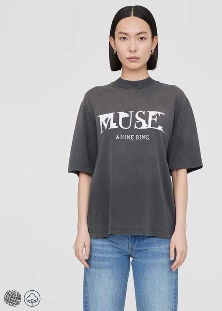 Harajuku Crew Neck T-Shirt gray Women's MUSE ANNIE BING Printed Oversized crewneck T-shirts Short-sleeves round O-collar Tops for Woman  in grey Spring Summer womens trending fashion clothing season
