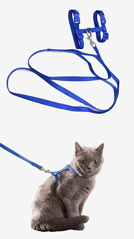 Dog Cat Collar Harness Leash Adjustable Nylon Pet Traction Kitten Halter Collar Puppy Dogs Cats Product Small Pet Harness Belt Trending