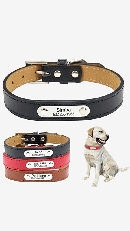 Personalized Dog ID Collar Custom Pet Name Free Engraving Genuine Leather For Small Medium Large Dogs Pitbull Cat XS XXL Collars Trending in Black Brown Red