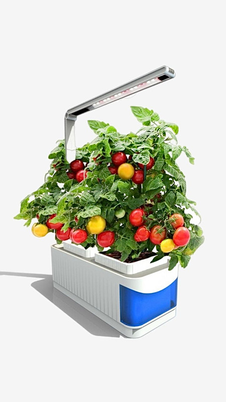 Hydroponic Garden Desk Lamp Hydroponics Indoor Herb Garden Kit Smart Multi Function Growing Led Lamp for Flower Vegetable Plant Growth Light Gardens Nursery Pots Trending