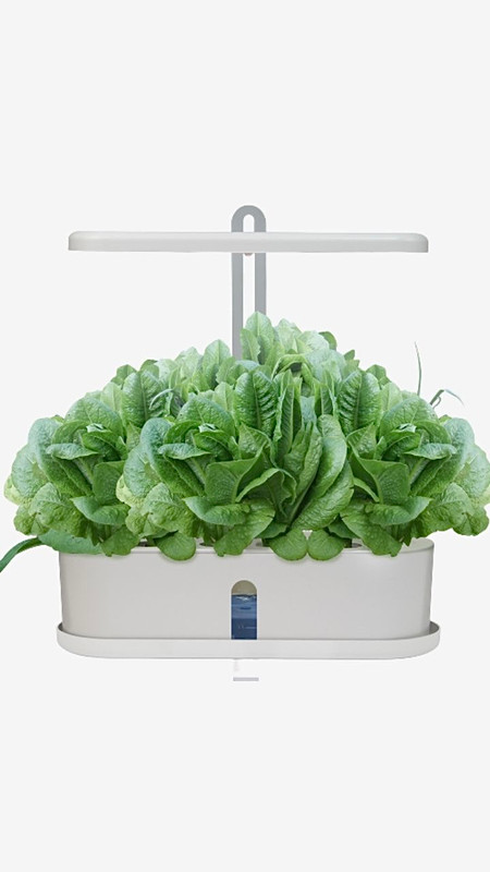 Hydroponic Herb Garden Kit Indoor Desk Lamp Smart Multi Function Growing LED Lamp for Flower Vegetable Plant Growth Light Nursery Pots Trending