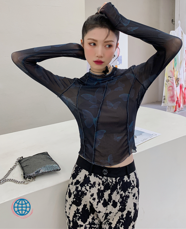 Butterfly Print Mesh Top  Women’s Long Sleeve Black Blouse Round O-Neck Crewneck Tees Patchwork Bodycon Tshirt Black See Through Crop Tops Fashion T Shirt Blouses for trending Woman