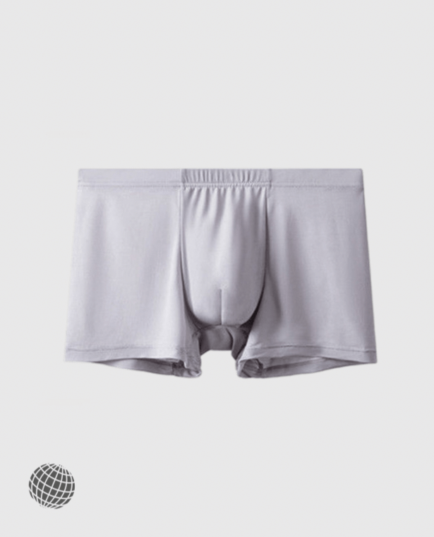 Breathable Boxer Briefs   Mens Trunk Comfy Sexy Underpants Transparent Sheer Boxers Shorts Knickers Ice Silk Plus Size Underwear for Man in trending Gray grey
