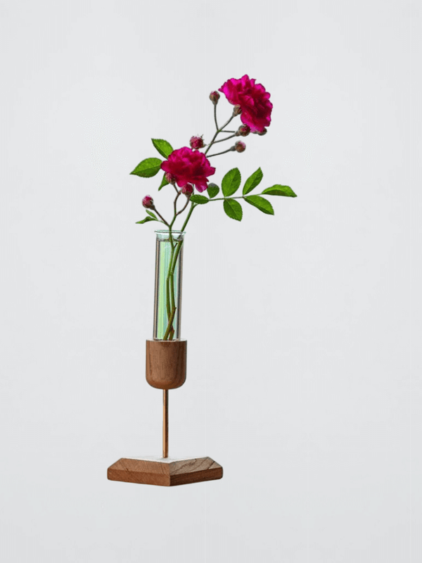 Test Tube Vase – Creative Mini Tabletop Decor Transparent glass with wood for Fresh, Dried Flowers Hydroponic vases