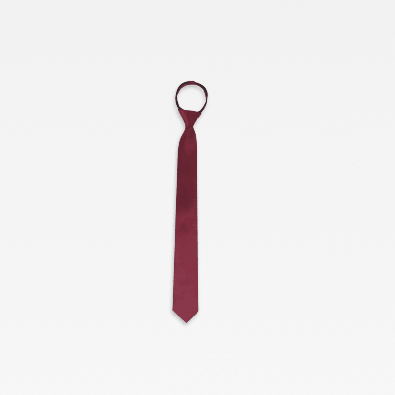 Women’s woman womens Men’s man mens Unisex Genflex Gender Neutral Genderfluid solid fashion Patterned Office work wfh workwear Party Wedding Groomsmen evening slim Necktie Chinese Brand Fashionable Accessory Ties in burgundy wine red