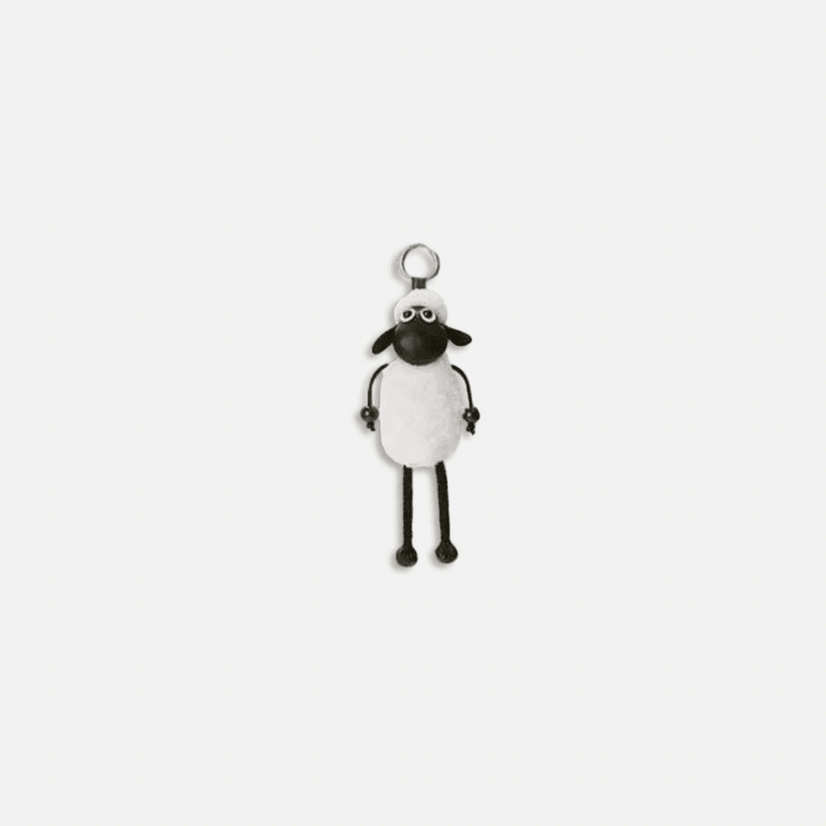 Charm Accessories