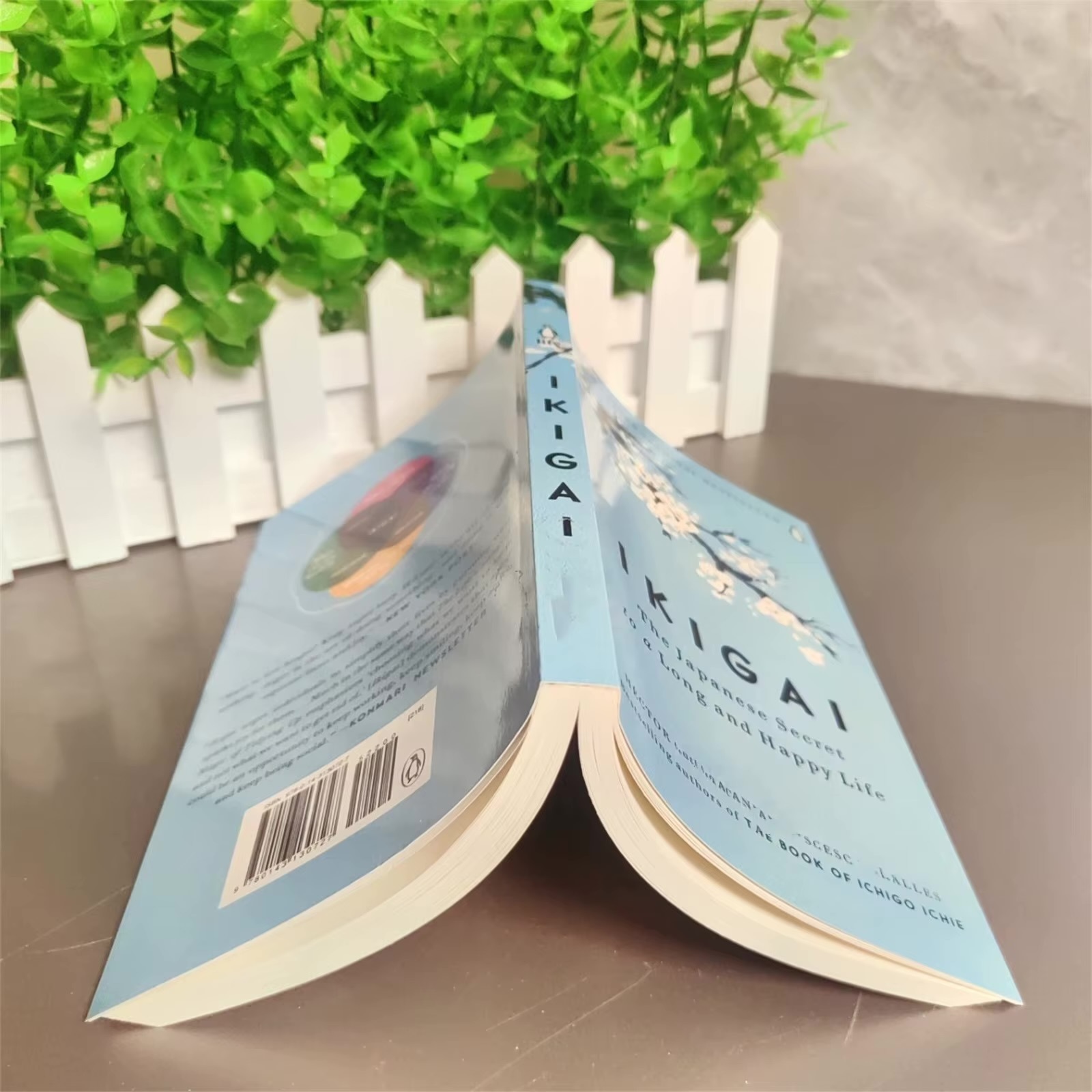 Ikigai - The Japanese Secret Philosophy For A Happy Healthy Life