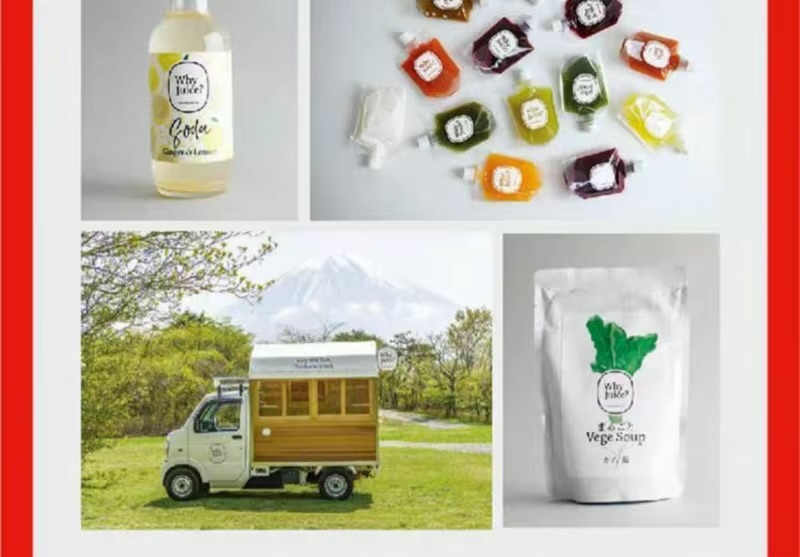 Made in Japan 231 Cutting-edge Japanese Design Works Across Various Fields Graphic Art and Design Books Chinese Edition