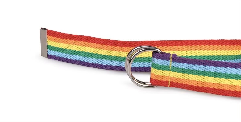 Women’s woman womens Men’s man mens Unisex Genflex Gender Neutral Genderfluid Casual Metal Buckle canvas Waistband striped pattern summer holiday getaway festival party Belt Fashion belts accessories in multi color