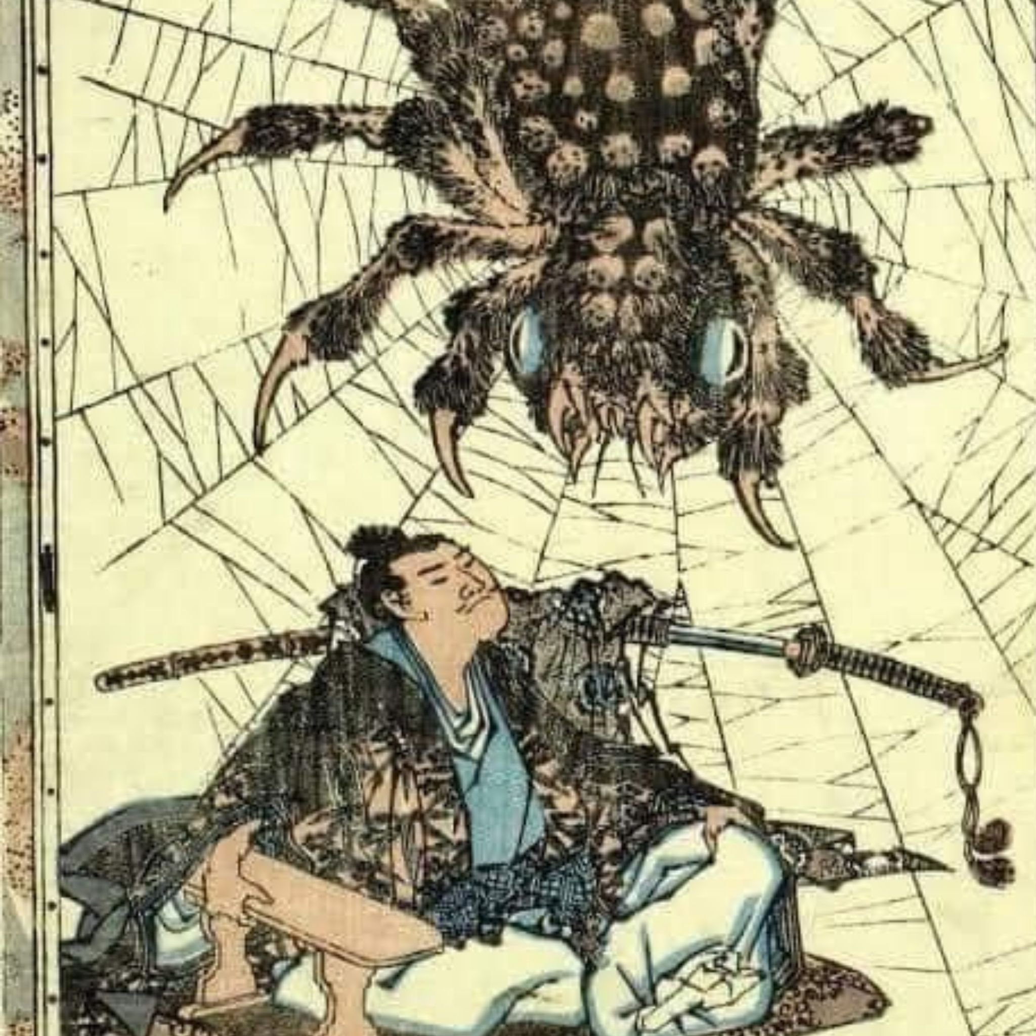 Japanese Spider Superstition