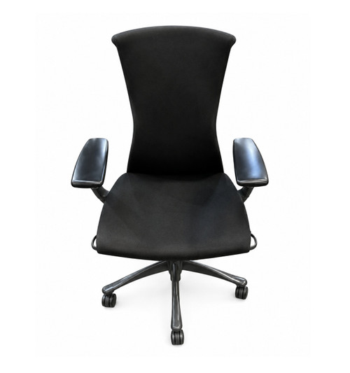 Herman Miller Embody Chair
