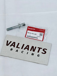 Acura NSX Timing Belt Adjuster Bolt