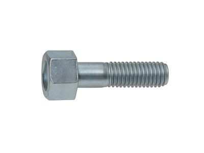 Timing Belt Adjuster Bolt