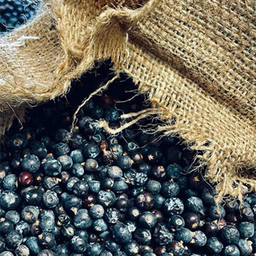 What is gin and what is it made from? What is gin and what is it made from?