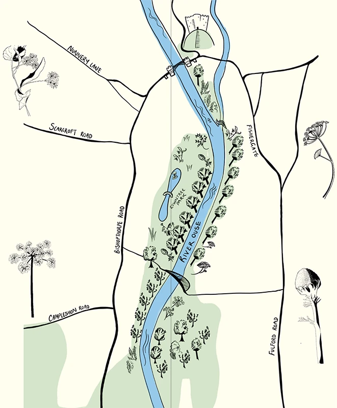 Map of foraged plants