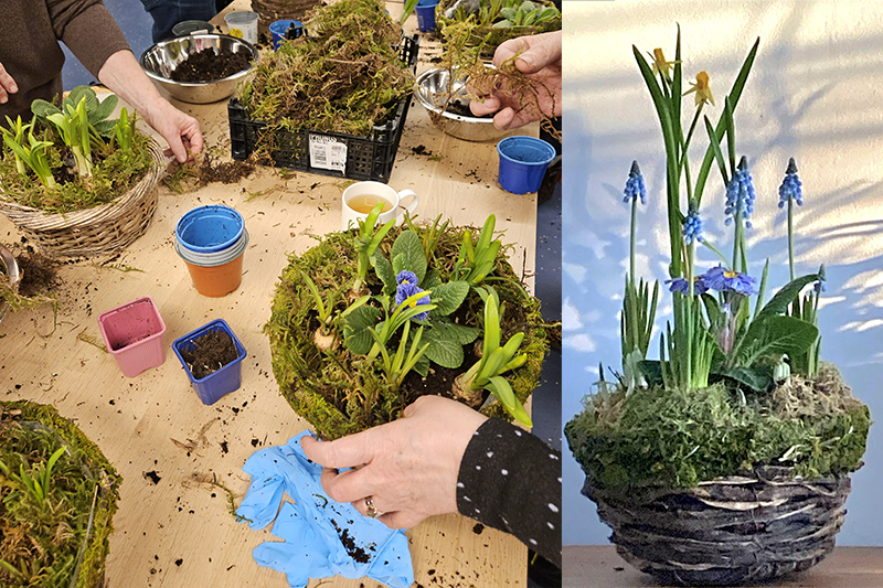Plants on table for workshop