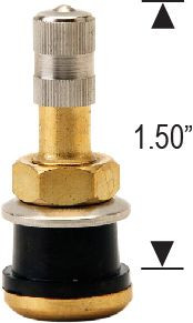 TR501 Valve Stem Truck Bolt-On Finish: Brass Fits Hole Diameter: 0.625"