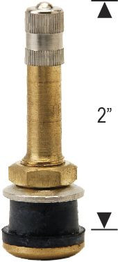 TR500 Valve Stem Truck Bolt-On Finish: Brass Fits Hole Diameter: 0.625"