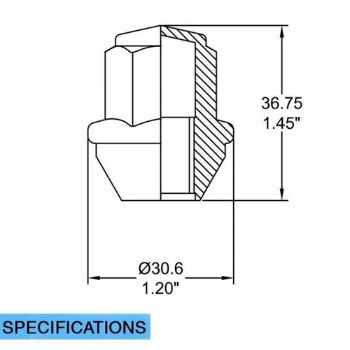 Stock OEM Factory Style - Lug Nut - Ford (13/16) 1/2