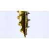 GRK RSS Bulk 1/4" x 3-1/8" (500 pcs) (10161)