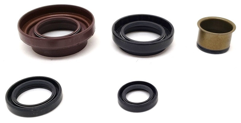 C59, C52 Standard Transmission Synchronizer, Bearing And Seal Kit