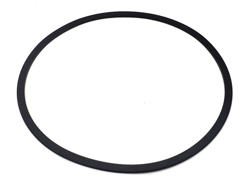 ipn6-31374 A604, 40TE, 41TE, 41AE, A606, 42LE  2-4 Clutch D-Ring (Outer) (4659374) | Compatible With Chrysler And Dodge Vehicles