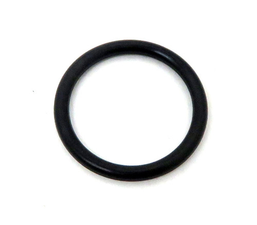 NP205 Pilot Roller Bearing Oring (GM)