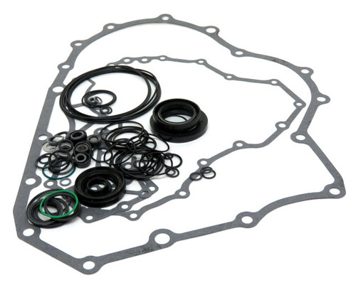 30002 Overhaul Repair Kit