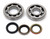 FOG Bearing and Seal Kit | Bobcat, Capri, Cougar, Marquise,  Zephyr, Monarch, Ambassador, American Rambler, Amx, Concord, Eagle, Kammback