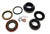 TSK231C Dodge Dakota Transfer Case Seal Kit