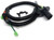 4T65E Universal Wire Harness