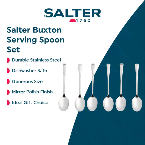 Set of six Salter Buxton stainless steel serving spoons with mirror finish, shown side by side.