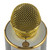 Intempo Wireless Karaoke Microphone Speaker, White/Gold  EE7183WHTSTKEU7 5054061463248