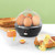 Progress Electric Egg Cooker  EK2783P 5054061419214 