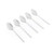 Set of five stainless steel dessert spoons on white background