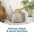 Taupe two-slice toaster with bread showing defrost, reheat and cancel functions