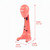 Red milk frother with dimensions: height 37.7cm, width 13.2cm, length 14.4cm