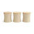 Set of three beige storage canisters with wooden lids, Salter brand, front view.