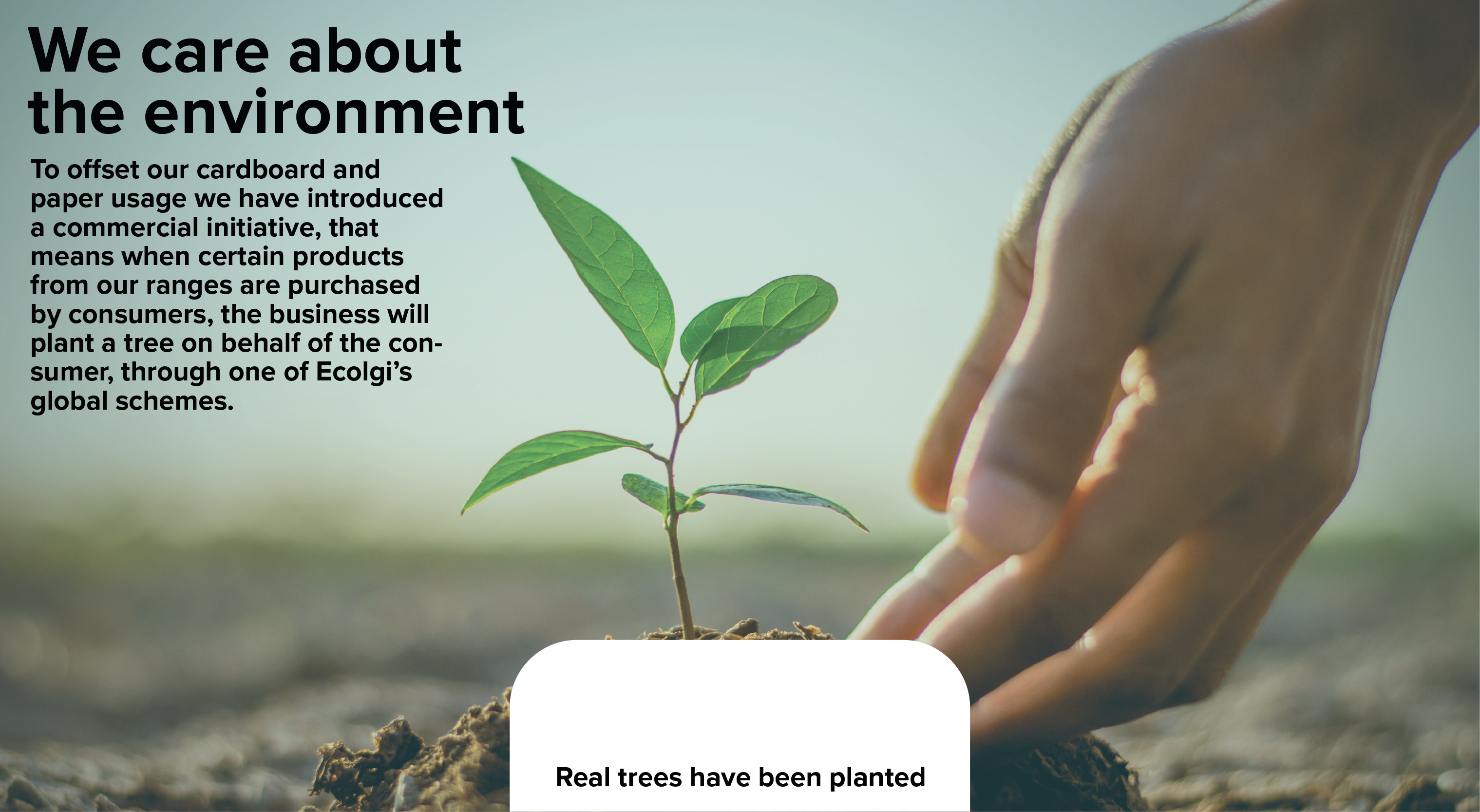 Plant a tree picture