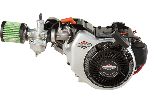 Briggs & Stratton World Formula Engine