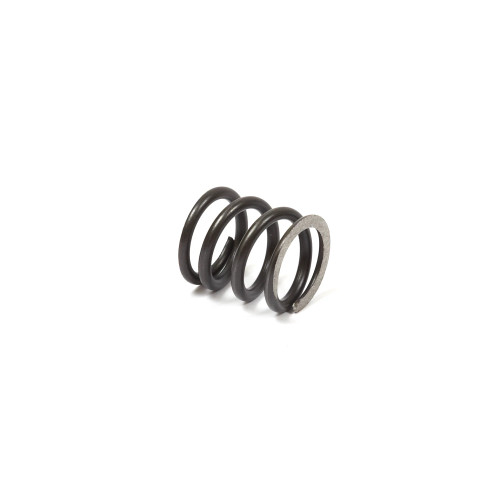 Briggs & Stratton LO206 Valve Spring