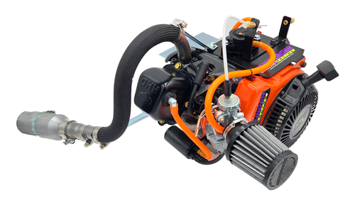 Complete Briggs & Stratton LO206 Engine