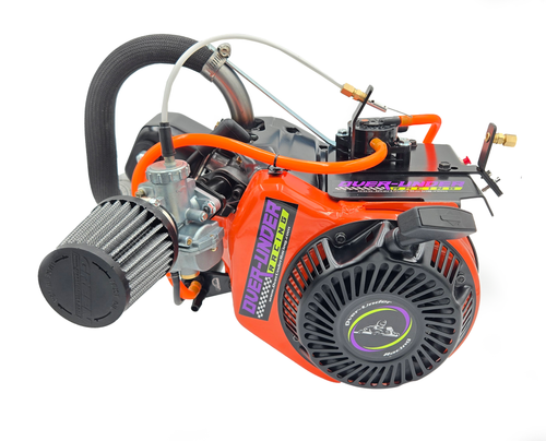 Complete Briggs & Stratton LO206 Engine