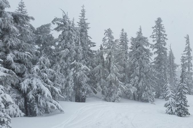 So, You Wanna Try Splitboarding? Here's What You Should Know