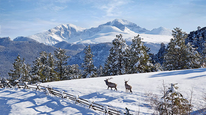 Rocky Mountain National Park in Winter: How to Plan Your Adventure