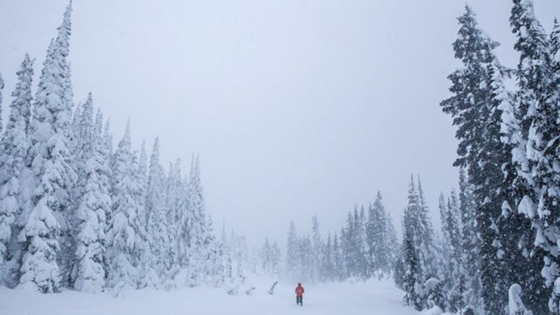 A Tour of the Snowiest Places in America