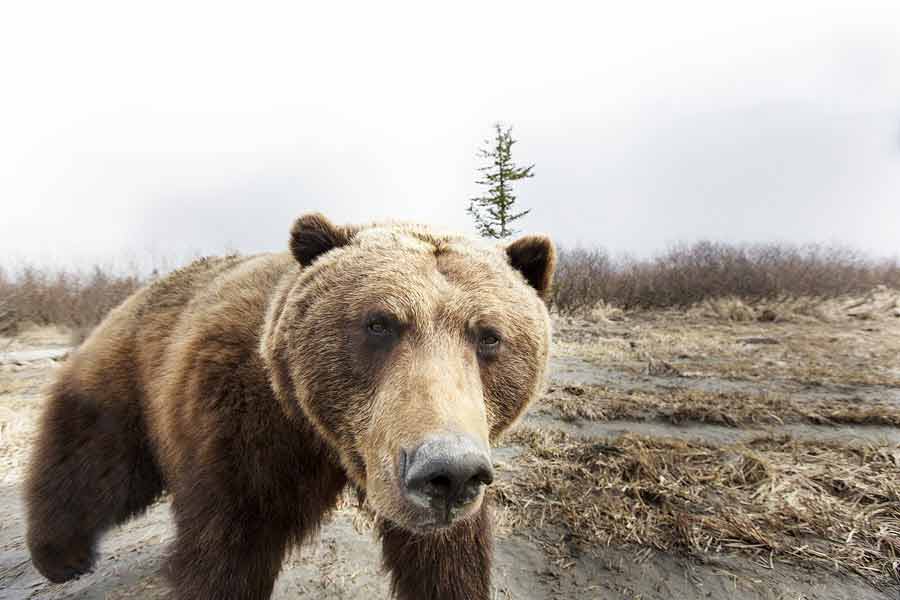 Great Ski House Meals