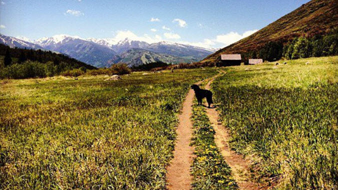 The 7 Biggest & Best Mountain Bike Trails in Aspen Snowmass